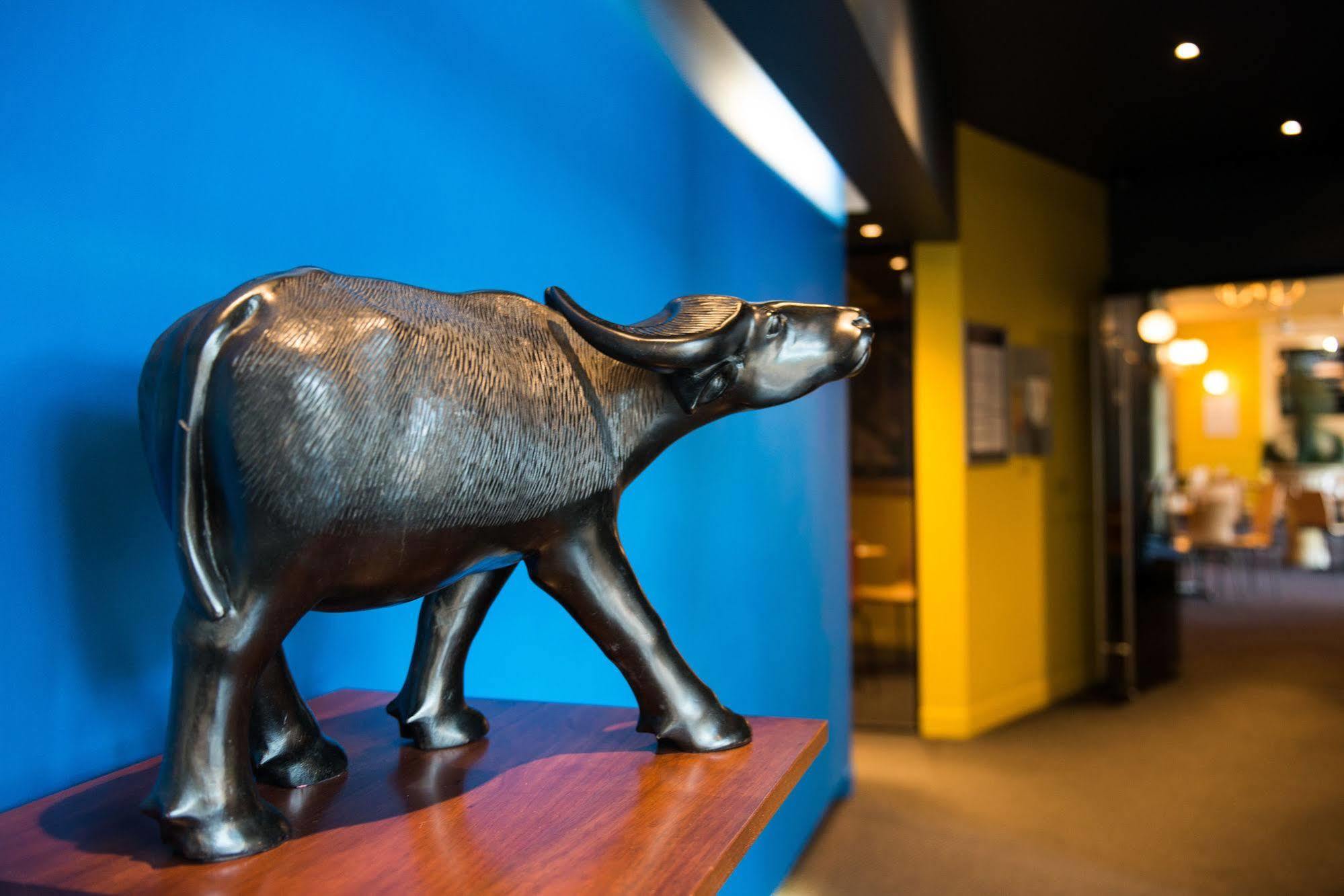 Black Buffalo Гобарт Екстер'єр фото